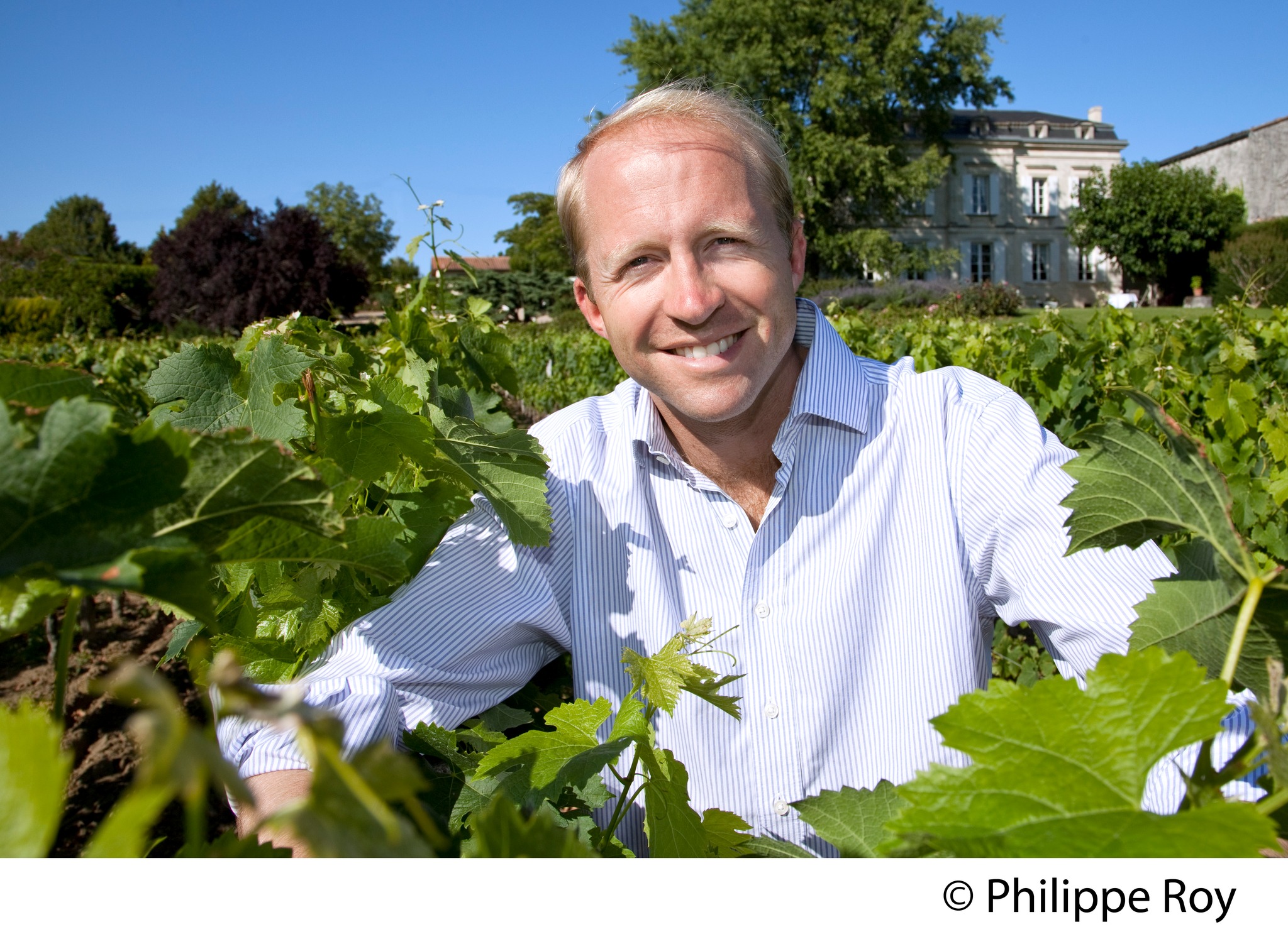 La Palette - Chateau Tessendey Fronsac